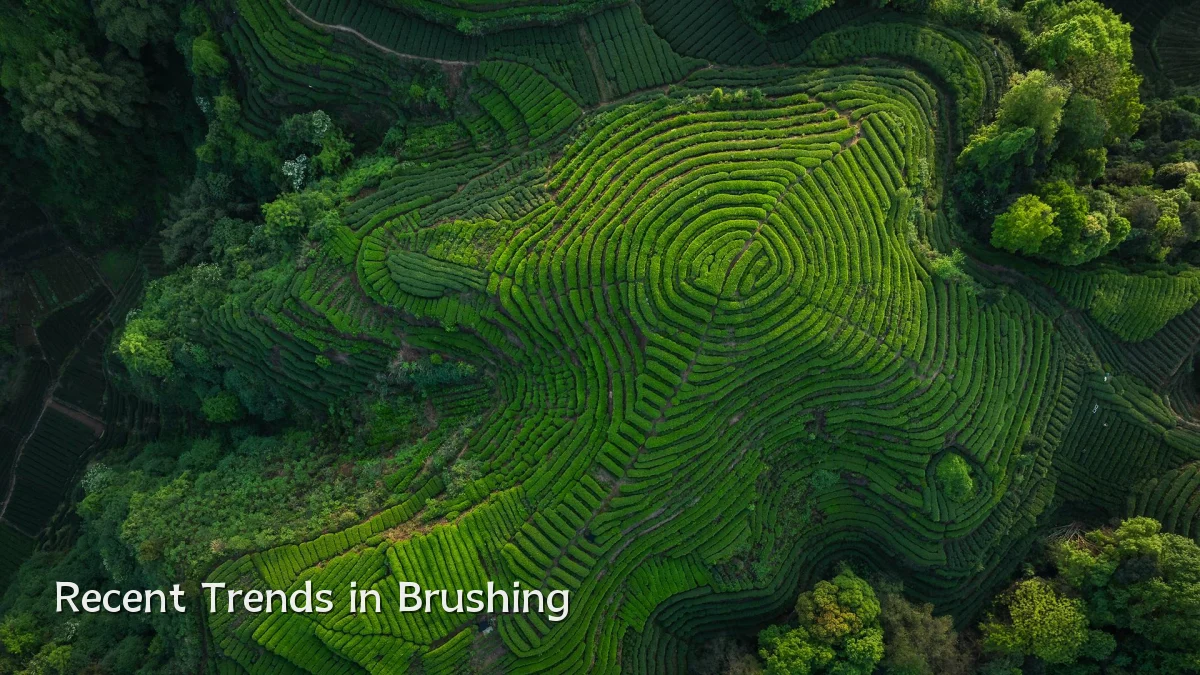 Recent Trends in Brushing