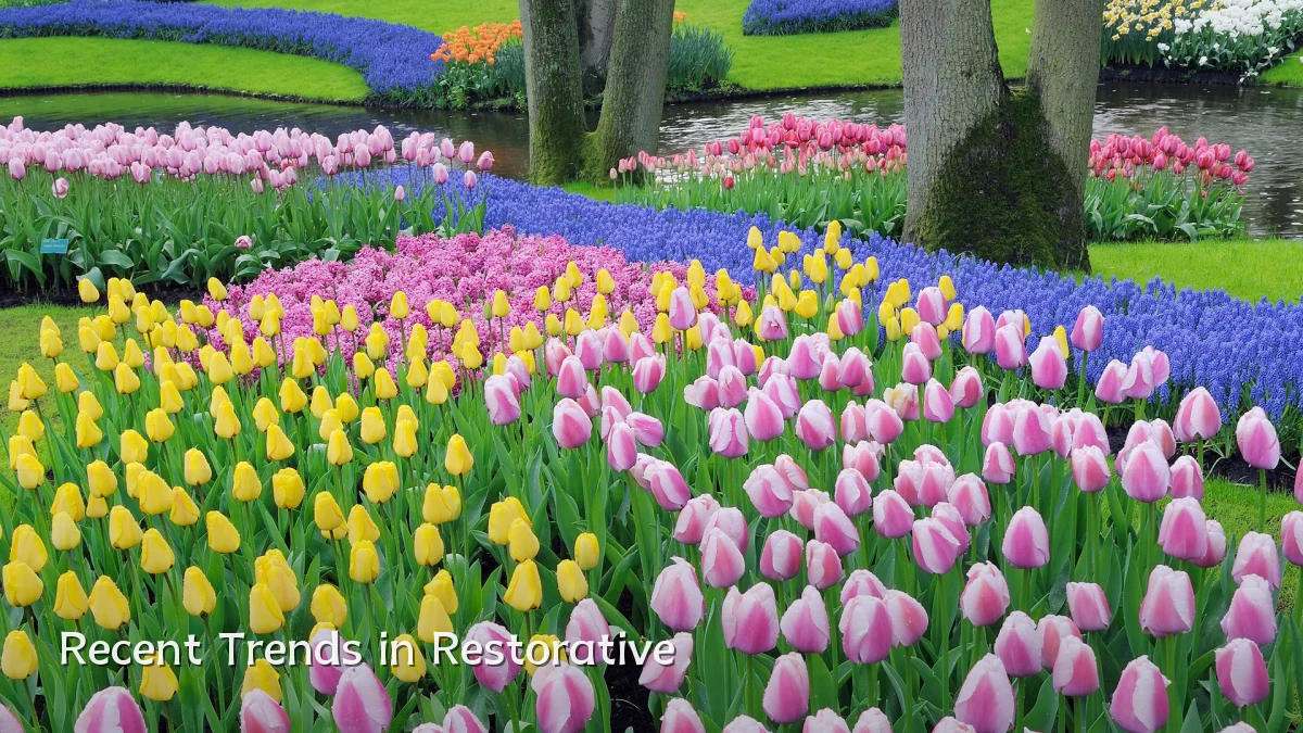 Recent Trends in Restorative