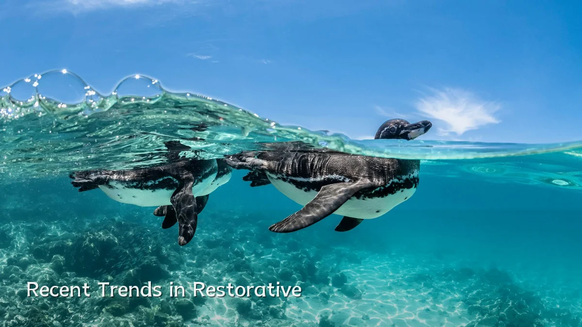 Recent Trends in Restorative