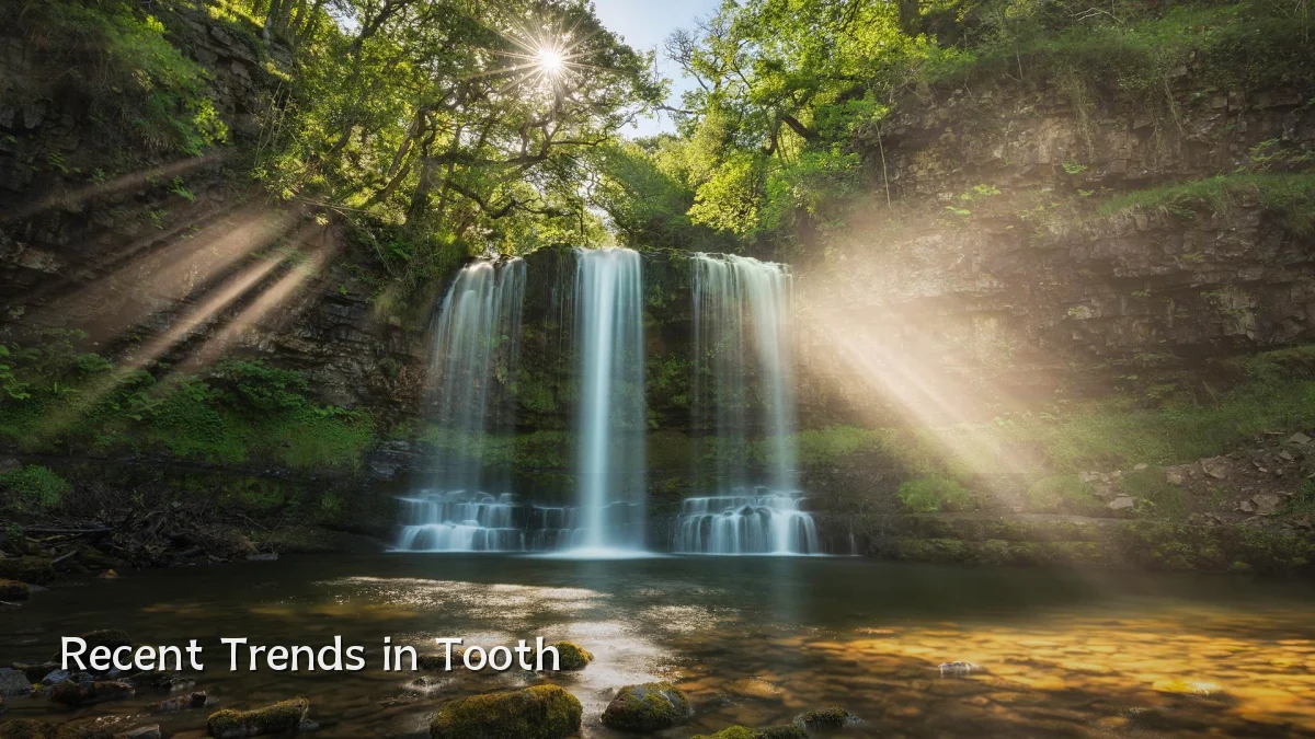 Recent Trends in Tooth