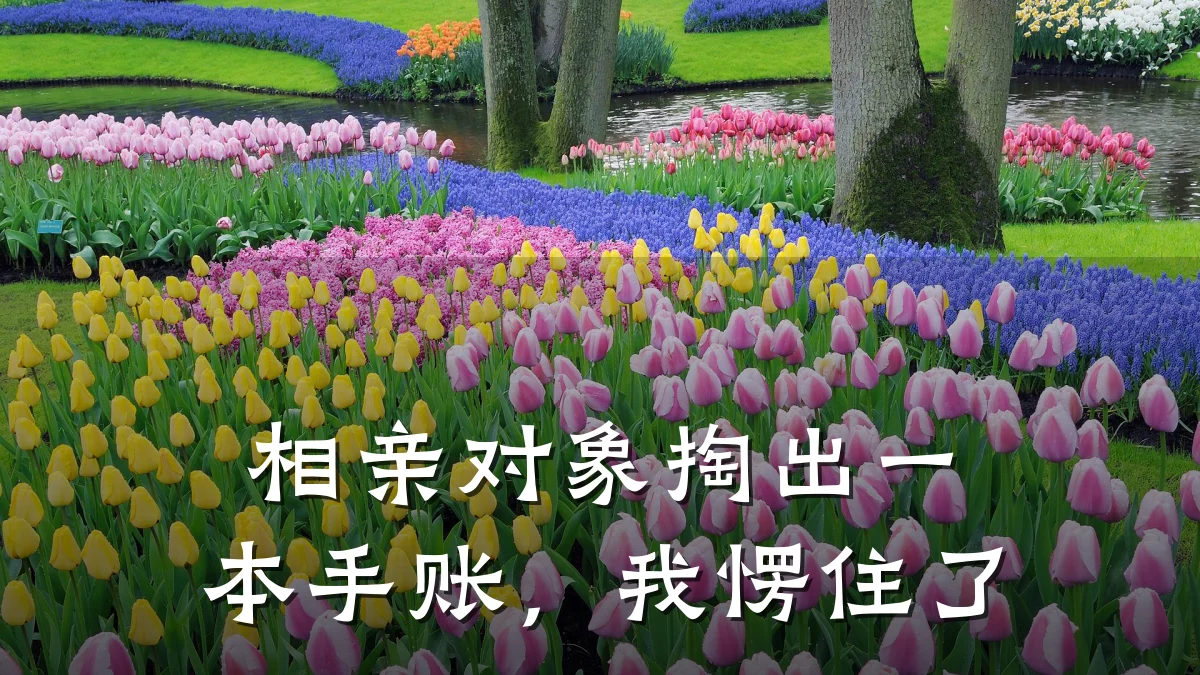 相亲对象掏出一本手账,我愣住了