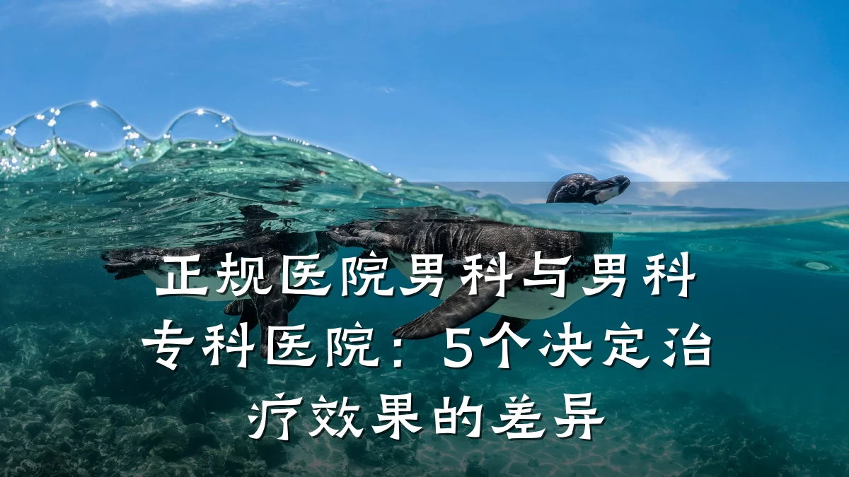 正规医院男科与男科专科医院:5个决定治疗效果的差异
