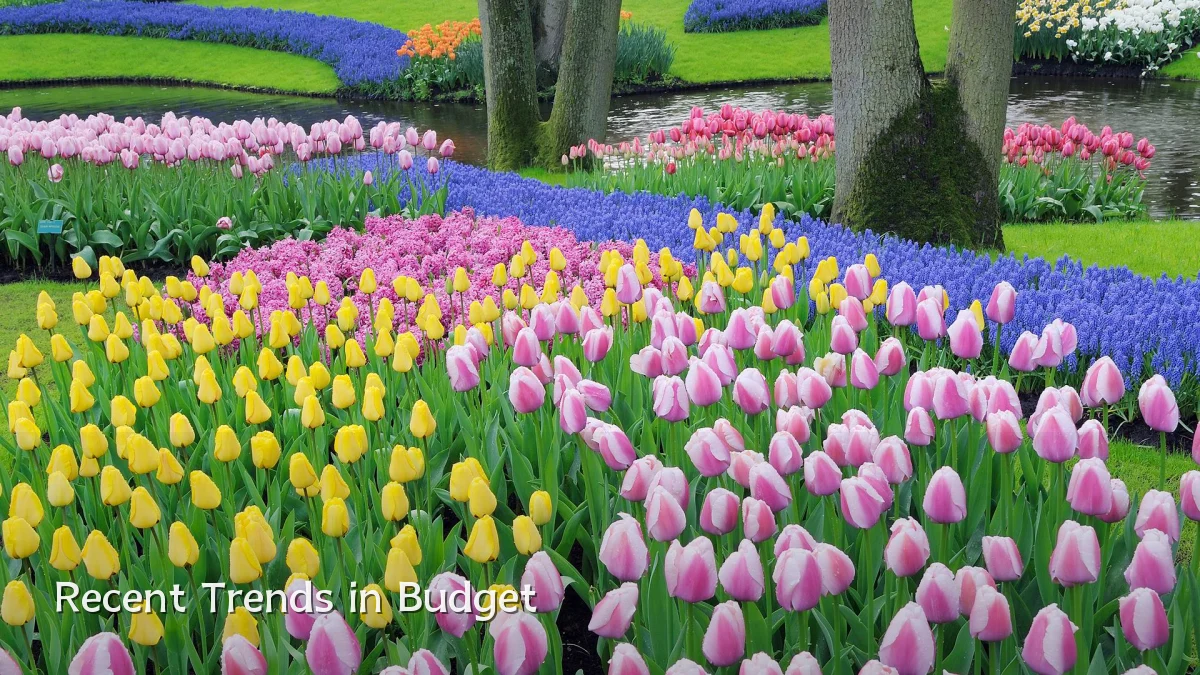 Recent Trends in Budget