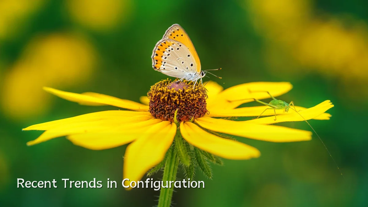 Recent Trends in Configuration