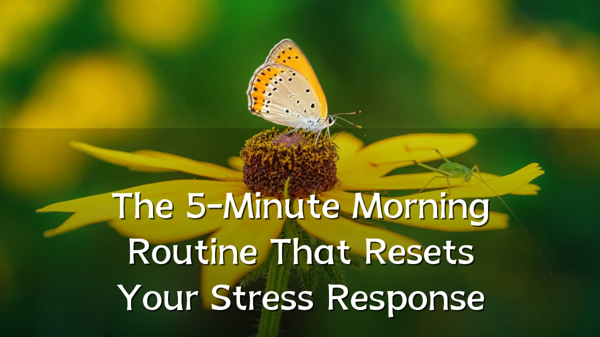 The 5-Minute Morning Routine That Resets Your Stress Response